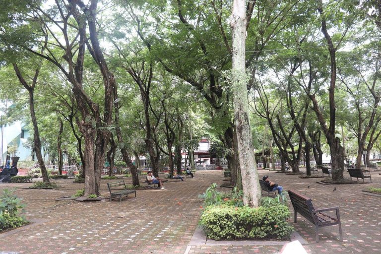 City Planners Map Cool Routes Between Neighbourhoods people seeking shade in the city during summer